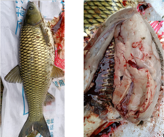 未標(biāo)題-2.jpg 未標(biāo)題-2.jpg