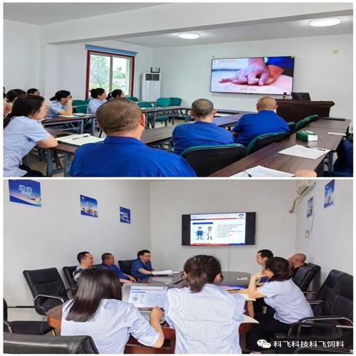 學(xué)習(xí)賦能 守正篤行