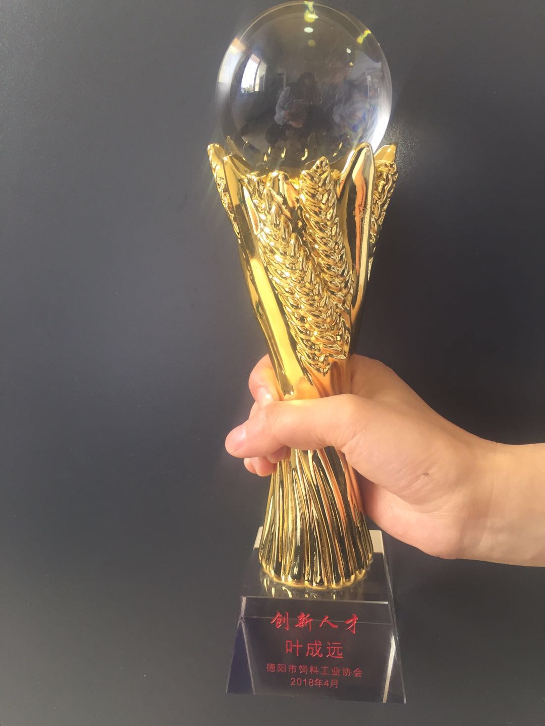 德陽創(chuàng)新技術人才獎杯.jpg