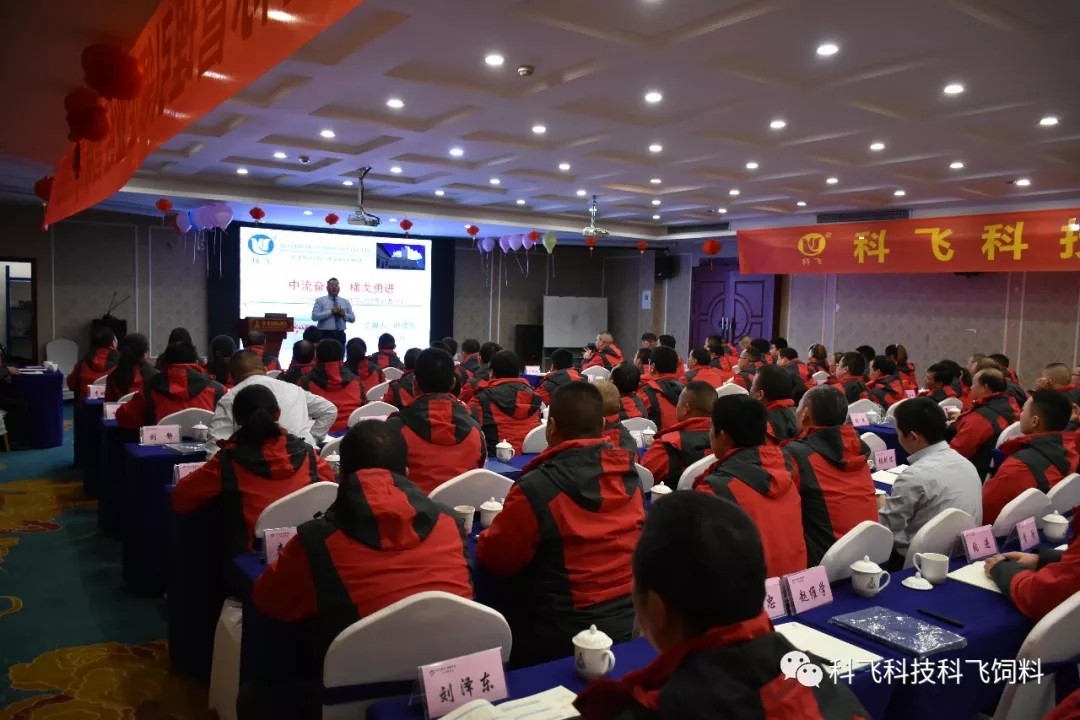 640.webp (2).jpg 640.webp (2).jpg