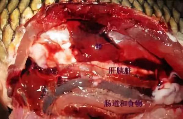 傳播途徑.jpg 傳播途徑.jpg